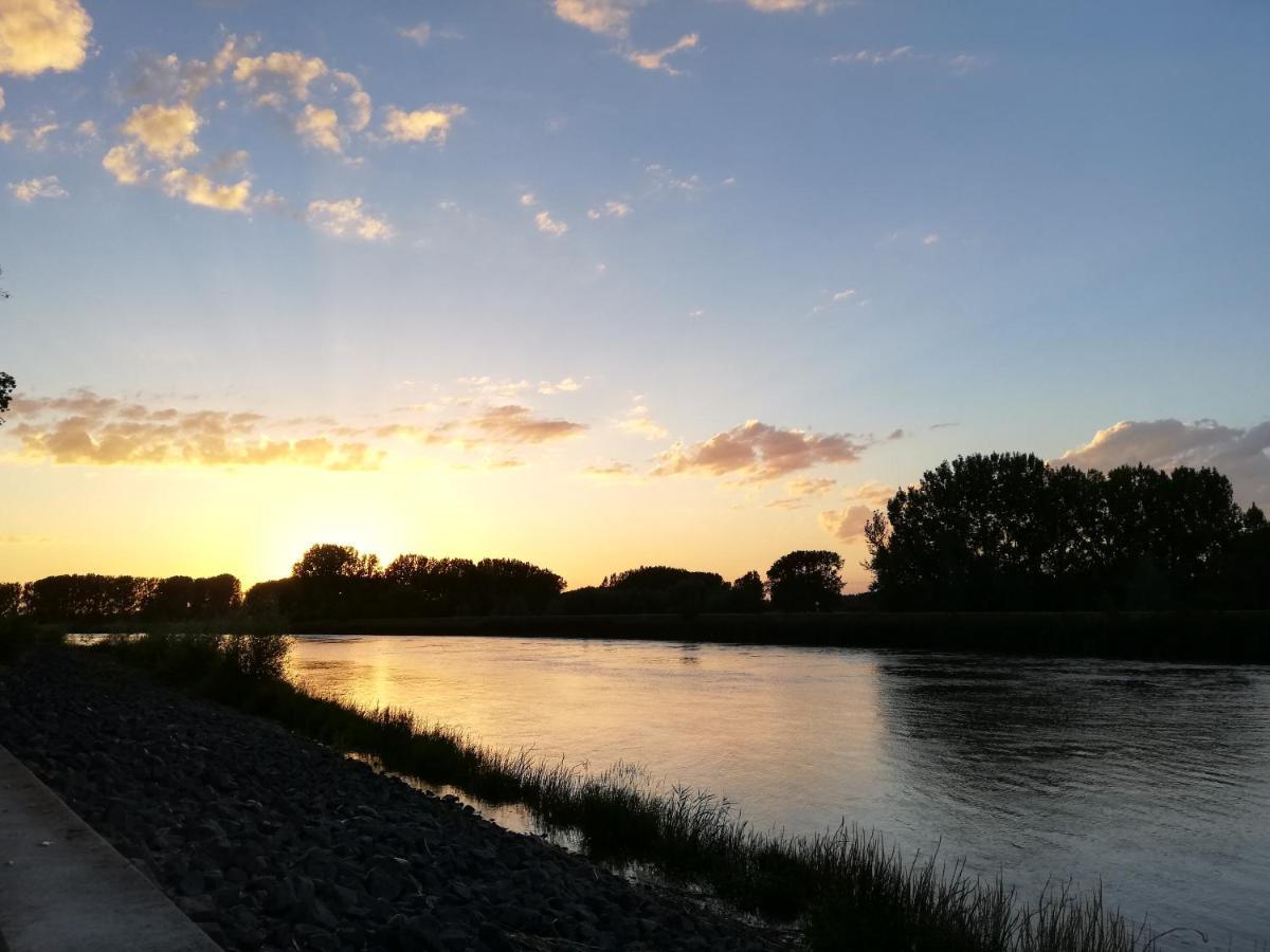 B&B De Stuifduinen Wetteren ภายนอก รูปภาพ