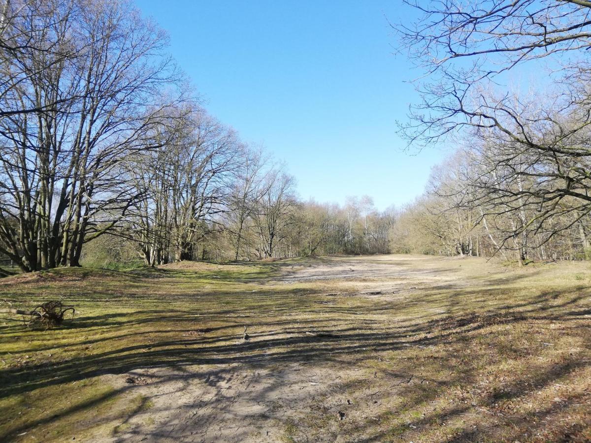 B&B De Stuifduinen Wetteren ภายนอก รูปภาพ
