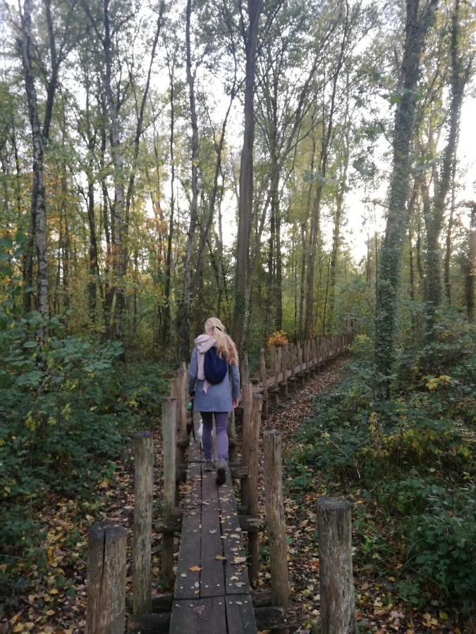 B&B De Stuifduinen Wetteren ภายนอก รูปภาพ