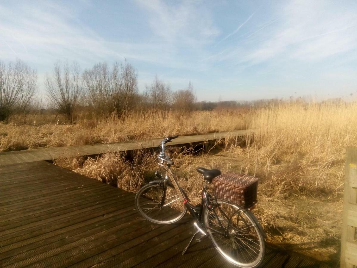 B&B De Stuifduinen Wetteren ภายนอก รูปภาพ